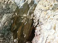 photo 2 (7) copy.webp