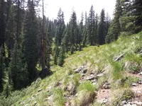 2012-08-19 14.26.18.webp 2012-08-19 14.26.18.webp