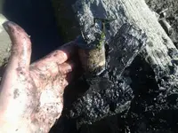 20150428_172158 2.webp