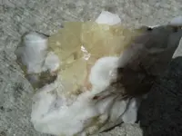 20150525_142047.webp