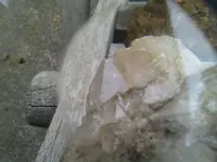 0429151907a.webp