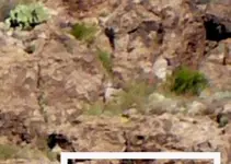 SuperstionMts1B4c.webp