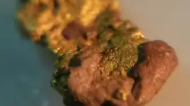 20150222_211808.webp