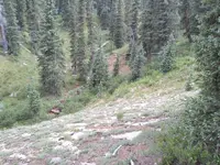 2013-07-09 16.35.58.webp 2013-07-09 16.35.58.webp