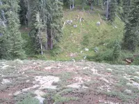 2013-07-09 16.36.11.webp 2013-07-09 16.36.11.webp