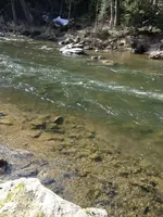 ImageUploadedByTreasureNet.com1429886163.811111.webp