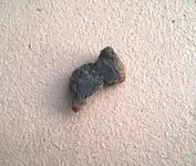 WP_20150429_002.webp
