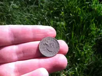 Token front Revised.webp