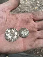ImageUploadedByTreasureNet.com1429891605.656799.webp