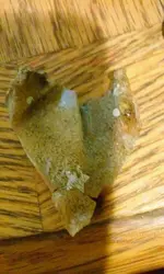 image.webp