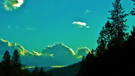 DSCN8615.webp