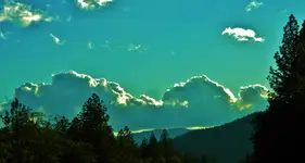 DSCN8616.webp