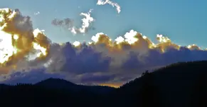 DSCN8621.webp