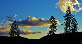 DSCN8628.webp
