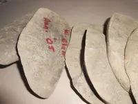 rocks 002.webp