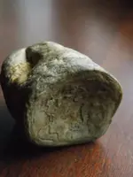 DSCN0548.webp