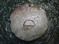 DSCN0195.webp
