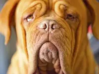ImageUploadedByTreasureNet.com1431388354.418091.webp