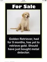 ImageUploadedByTreasureNet.com1430396975.424740.webp