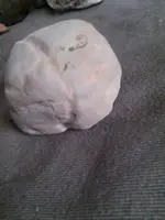 1431590661903.webp