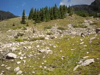 034.webp