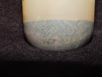 DSCN4606.webp