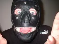 gimp.webp