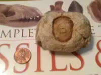 ImageUploadedByTreasureNet.com1429910730.352110.webp