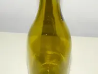DSCN9685.webp
