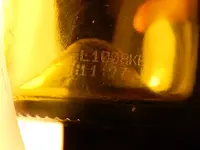 DSCN9691.webp