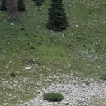Greg 1 075.webp