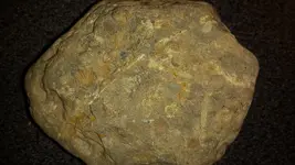 20150418_032747.webp