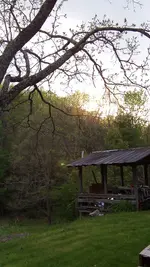 126_5301.webp