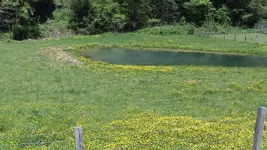 126_5333.webp