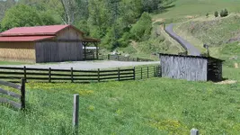 126_5334.webp