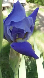 126_5360.webp