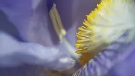 126_5372.webp