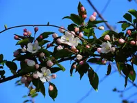 K1600_006.webp K1600_006.webp
