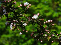 K1600_028.webp K1600_028.webp