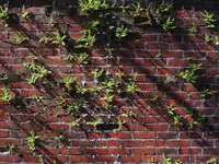 K1600_029.webp K1600_029.webp