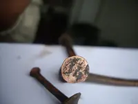 IMGP5387.webp