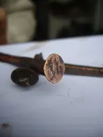IMGP5388.webp