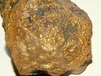 DSCN9711.webp