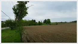 20150515_114617_resized.webp