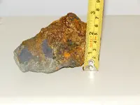 DSCN9715.webp