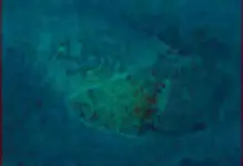Key_West_site-A1closeX.webp