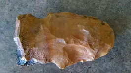 1429382449187.webp