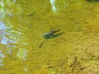 080.webp