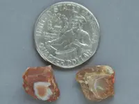 Agate-FarmStoreRedWhiteBrownWhite2015-Img_6235SSS.webp