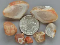 Agate-FarmStore-BestOf-Img_6236SSS.webp